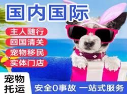 威海空运地址国际宠物托运 【国
